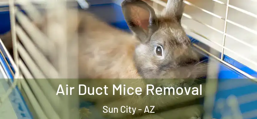  Air Duct Mice Removal Sun City - AZ