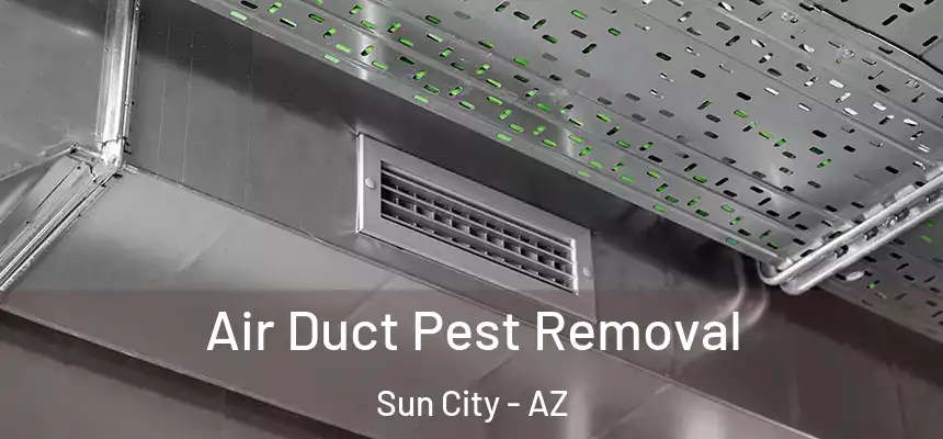  Air Duct Pest Removal Sun City - AZ