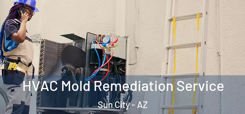  HVAC Mold Remediation Service Sun City - AZ