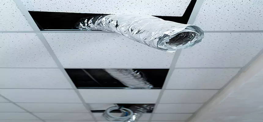 Affordable HVAC Sanitizing After Pest Removal in Sun City