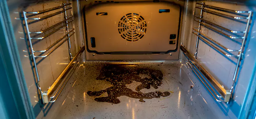 Our Dryer Vent Mold Cleaning Services in Sun City, AZ