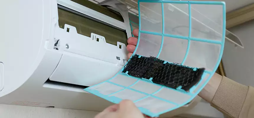 Gentle Ductwork Odor-Control Pet Dander Duct Cleaning in Sun City, AZ