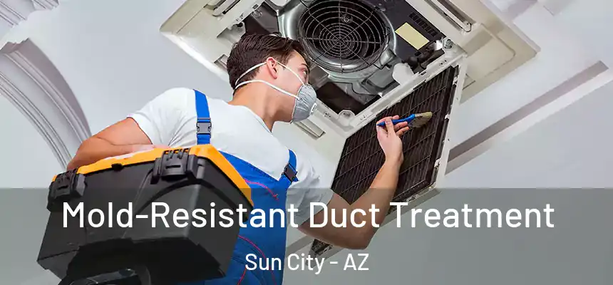  Mold-Resistant Duct Treatment Sun City - AZ