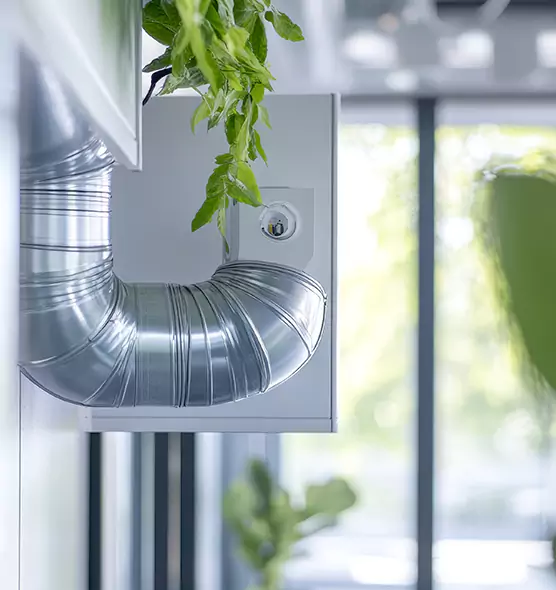 Professional Eco-Friendly Duct Cleaning Services in Sun City, AZ